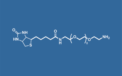 Biotin PEG-8 amine